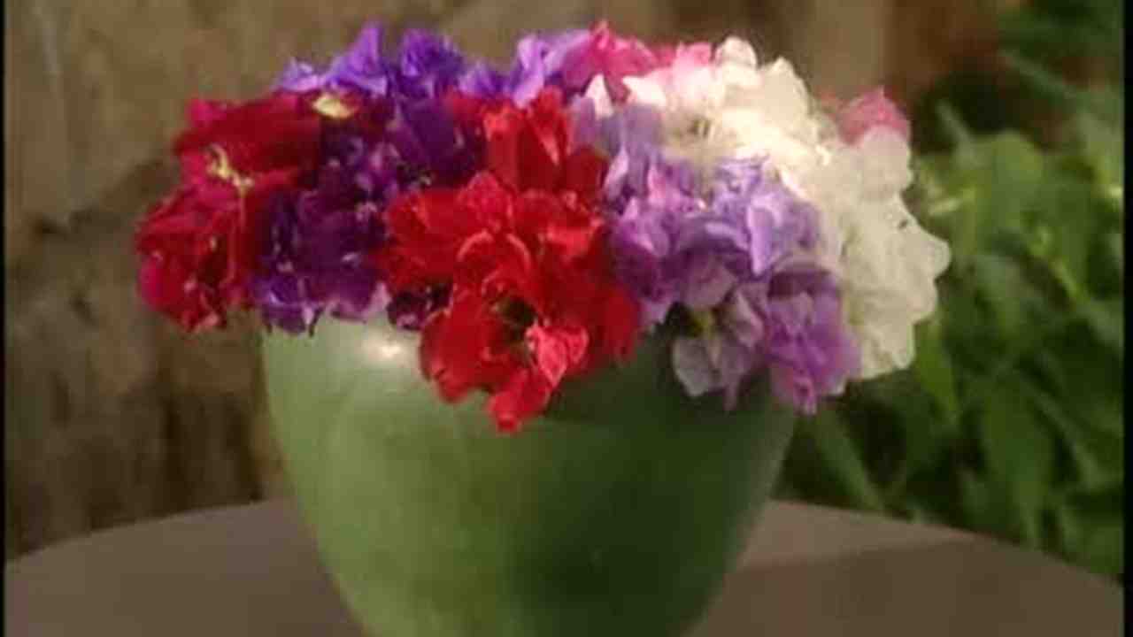 Video How To Arrange Sweet Pea Flowers In A Vase Martha