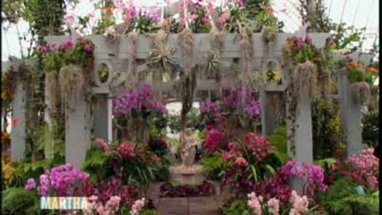 new york botanical gardens and orchid show