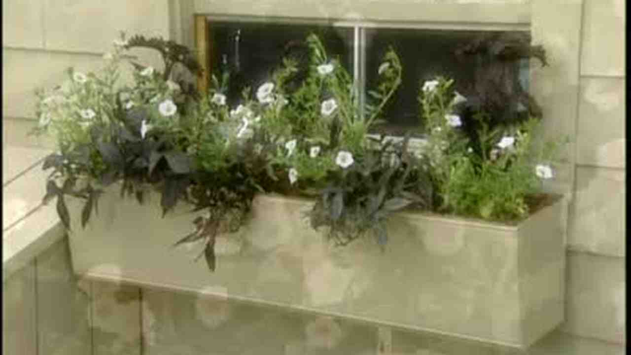 how to plant a window box video how to plant flowers in well made window box martha stewart how to plant a window box video how to plant flowers in well made window box martha stewart