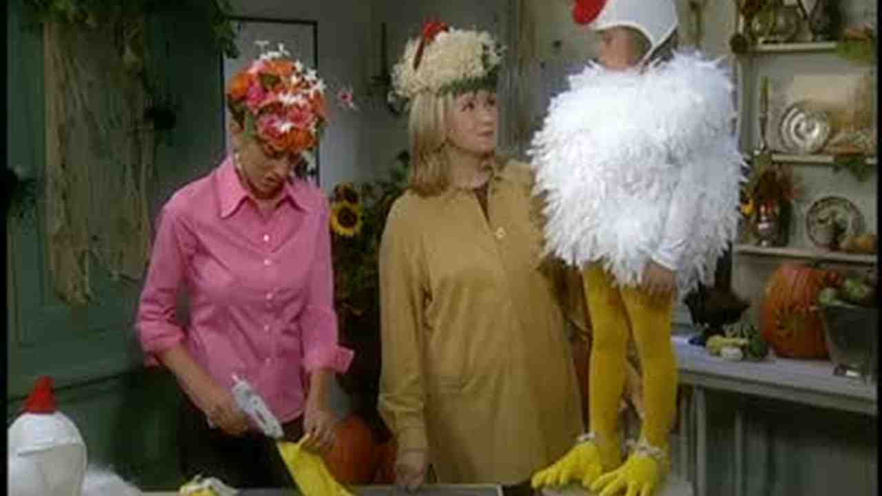 video martha stewart makes a halloween chicken costume martha stewart