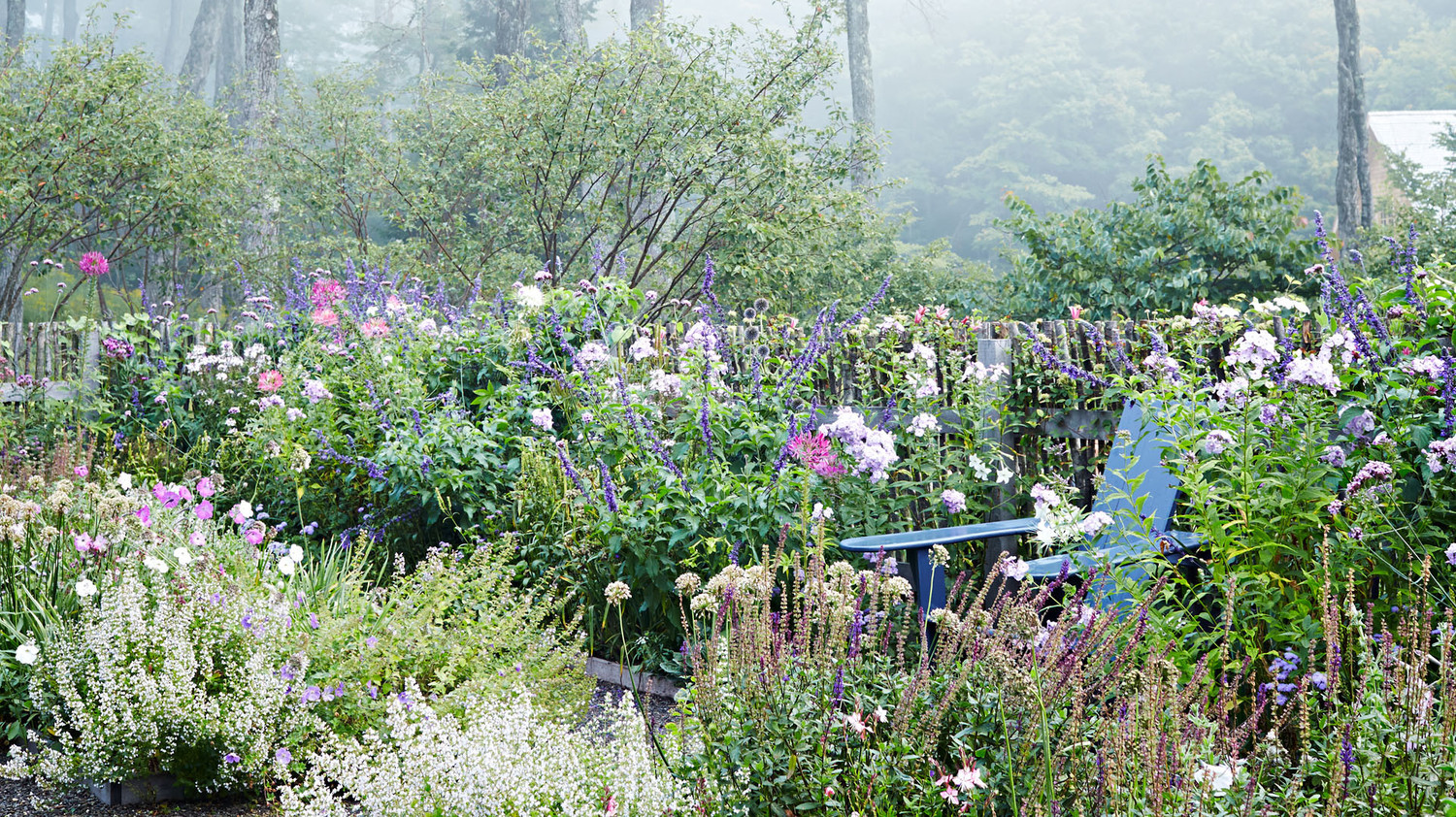 A Glorious Fall Flower Garden with an English Disposition ...