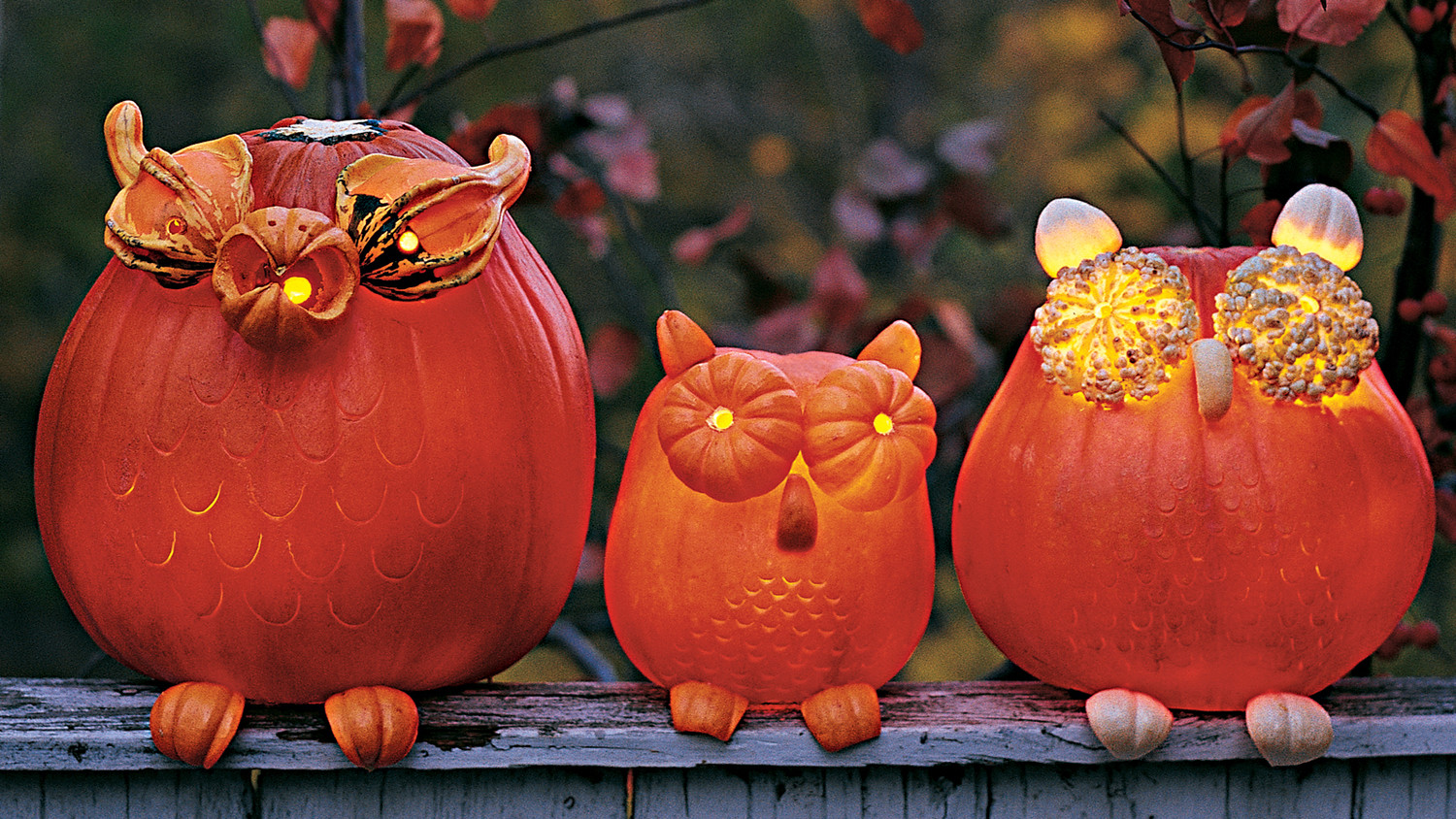 12-cute-pumpkin-ideas-martha-stewart