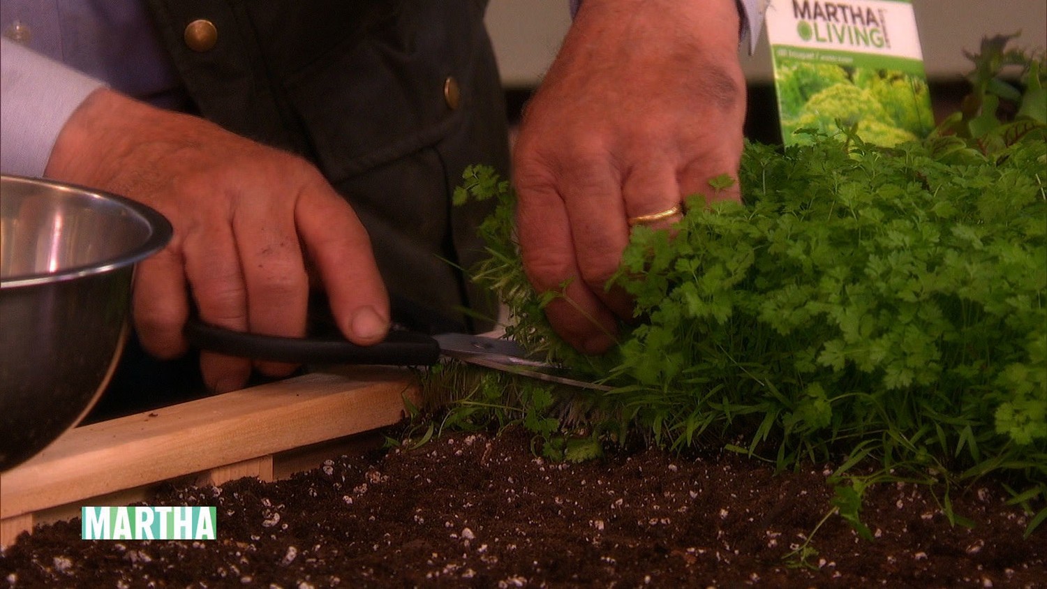 Video Herb Gardening Martha Stewart