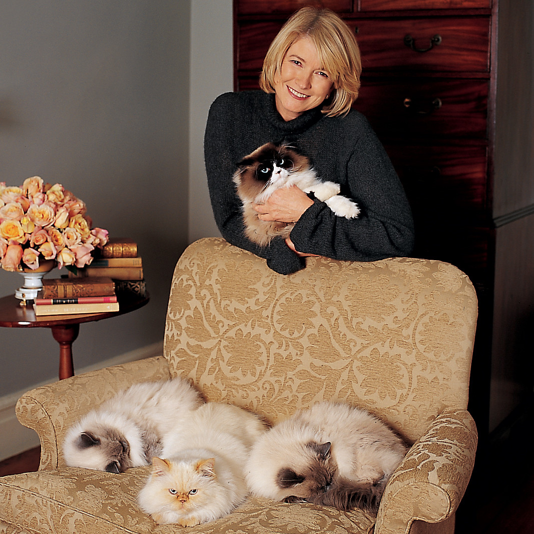 How to Remove Pet Hair from Upholstery | Martha Stewart