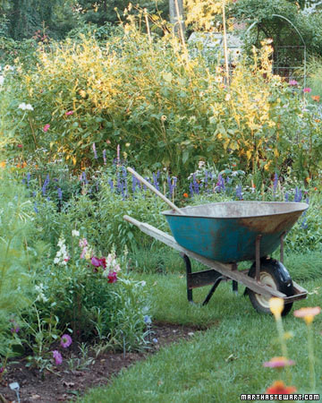 10 Essential Spring Gardening Tips | Martha Stewart