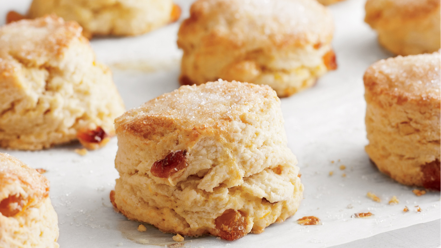 Candied and Raisins Biscotti