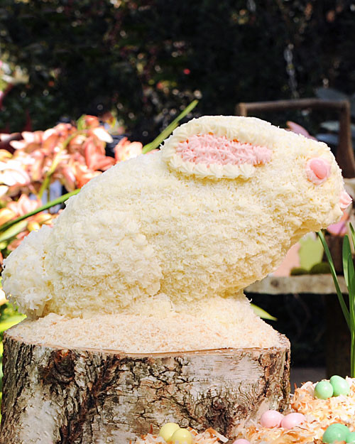 Bunny Cake Bunny Cake