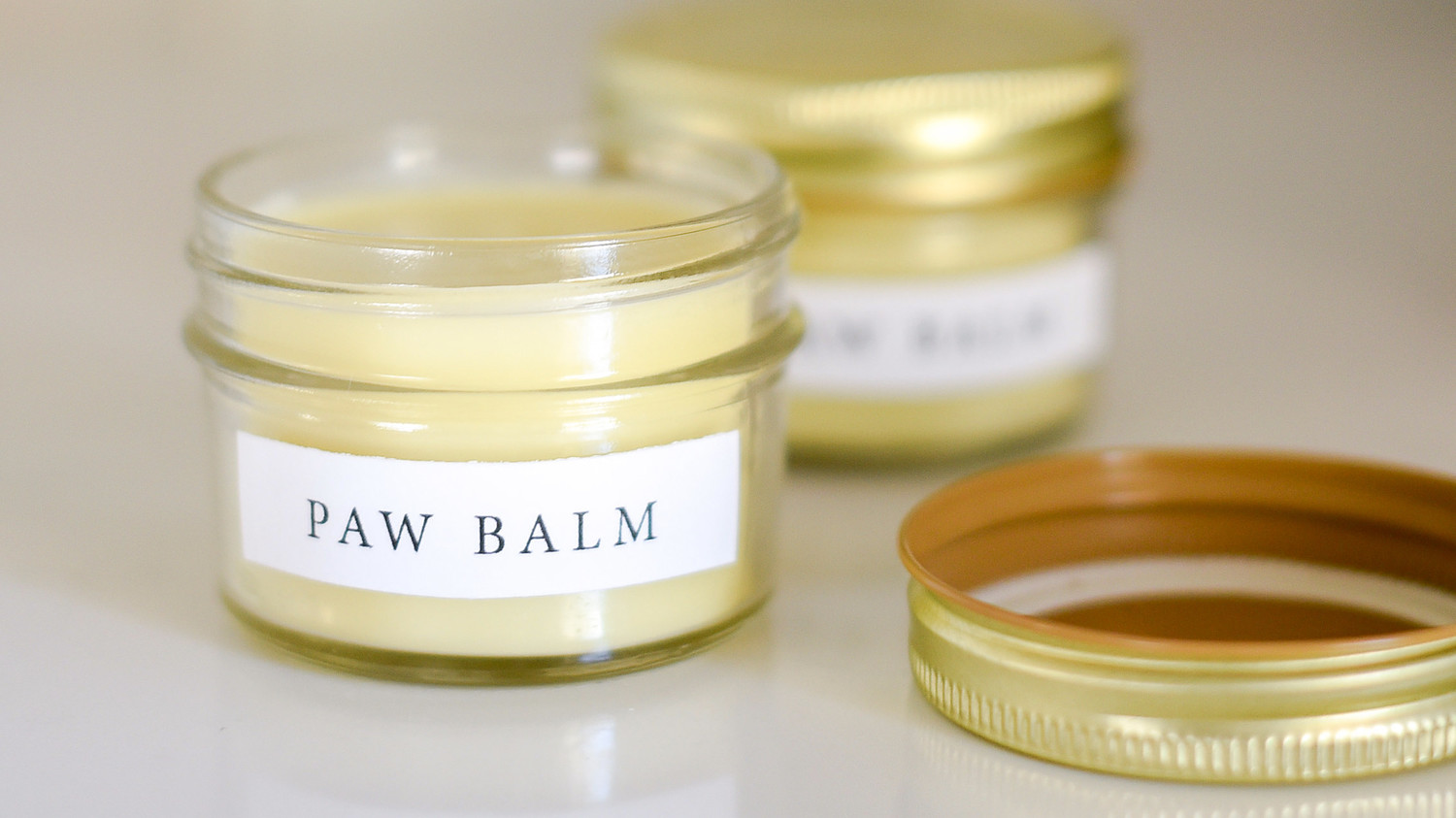 puppy paw lotion