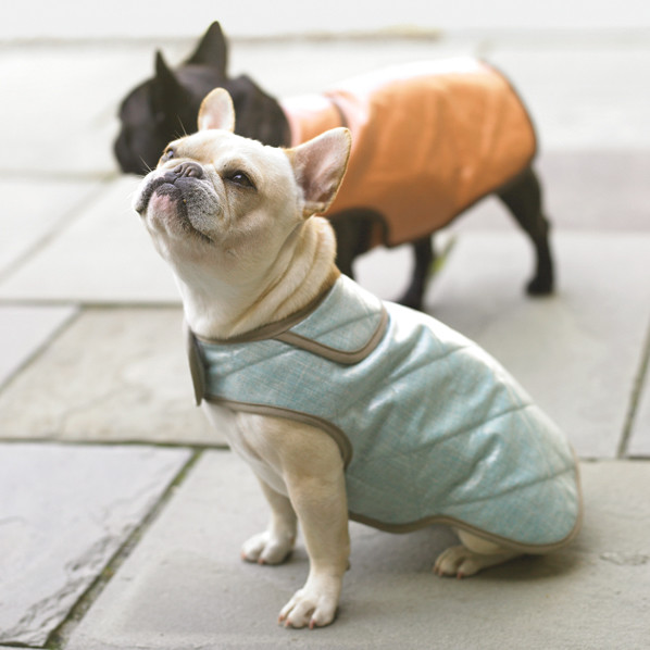 11 Diy Ideas For Pet Clothing And Accessories Martha