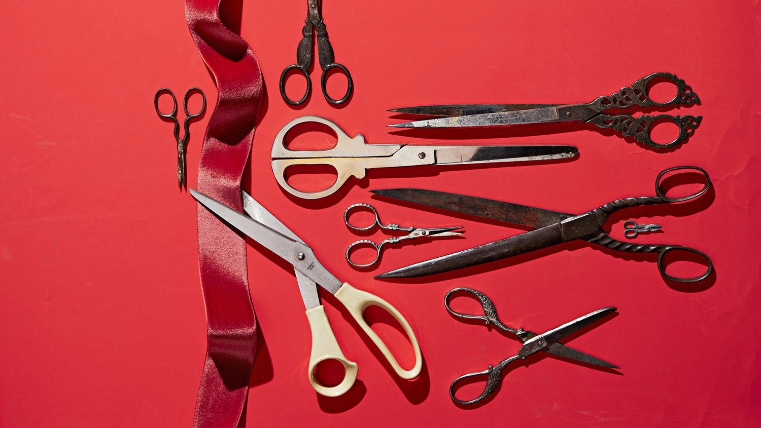 How to Sharpen, Clean, and Care for Your Scissors Martha Stewart