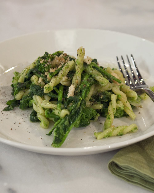 Gemelli ''Twin'' Pasta with Broccoli Rabe Pesto Recipe & Video Martha