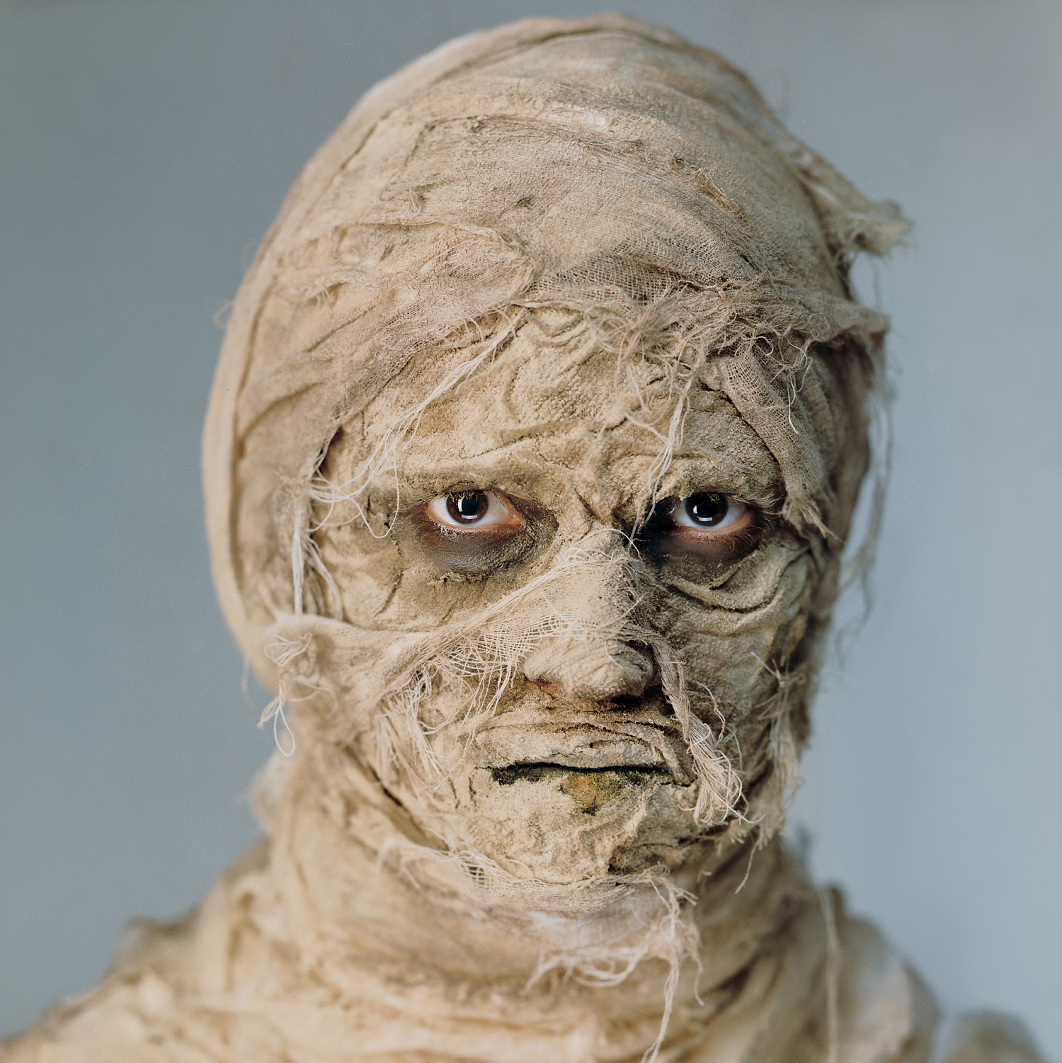 mummy makeup martha stewart diy outdoor christmas decor