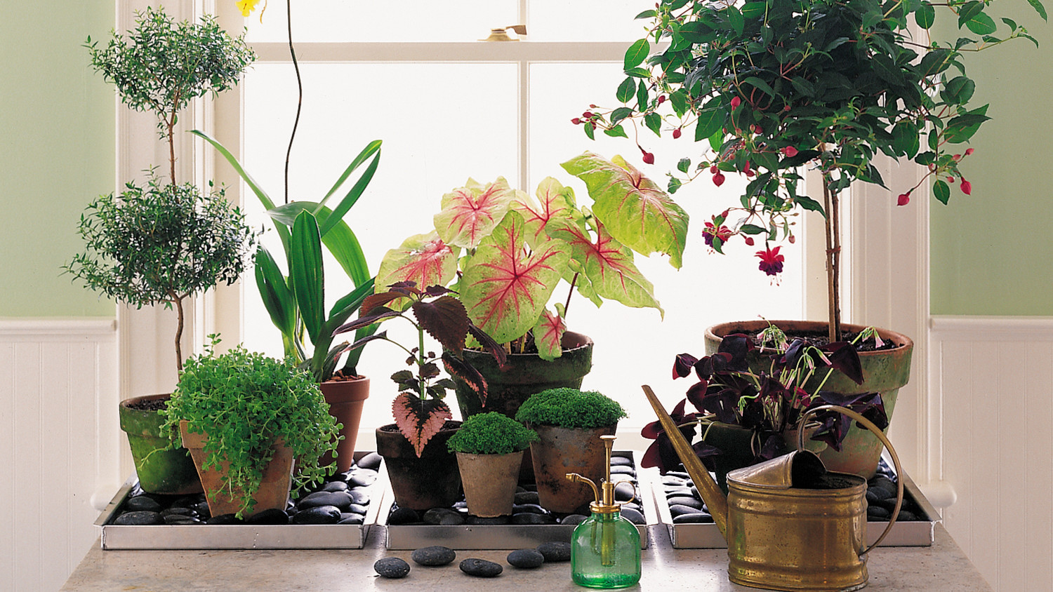 How To Get Humidity Out Of Your Home Martha Stewart