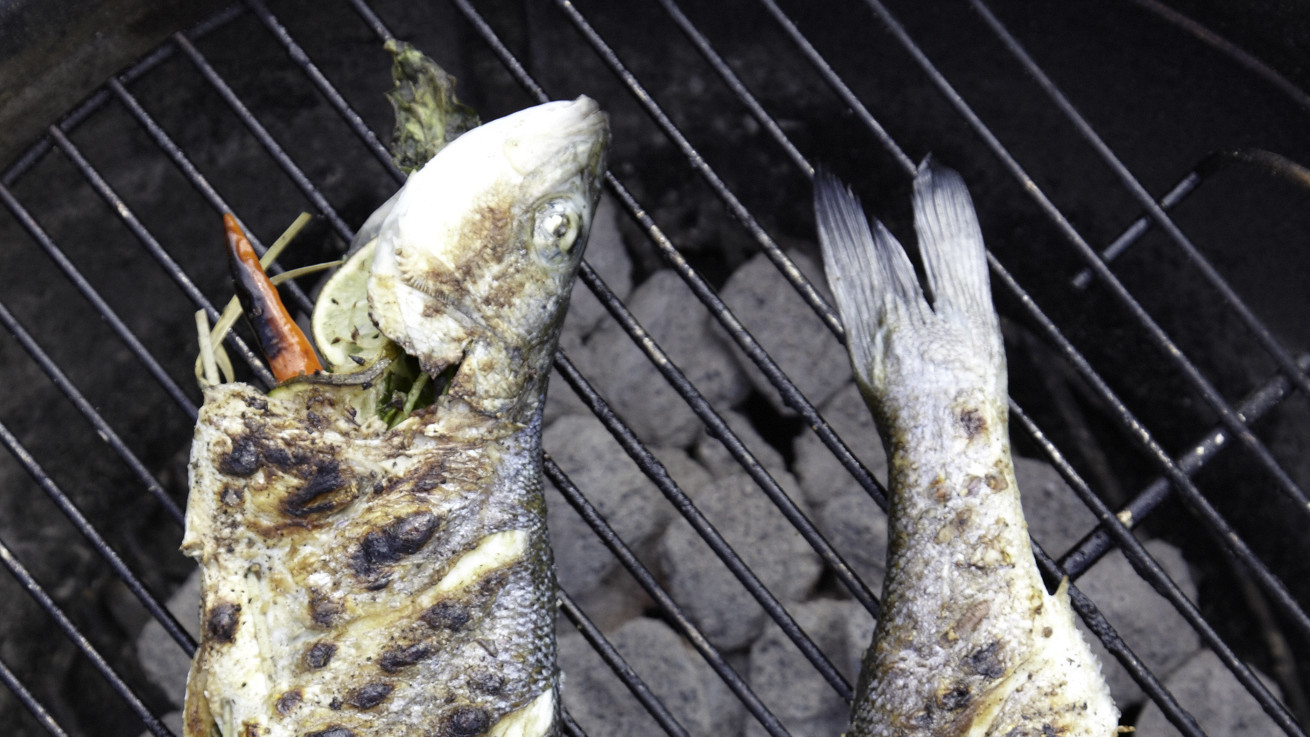 How to Grill a Whole Fish—Our StepbyStep Guide Martha Stewart