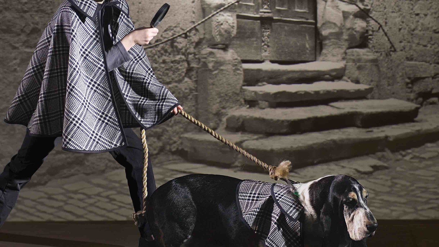 Get Wallpaper Detective And Hound Costume Martha Stewart Free