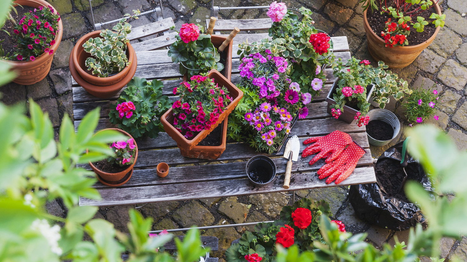 Here S How Gardening Benefits Your Health Martha Stewart