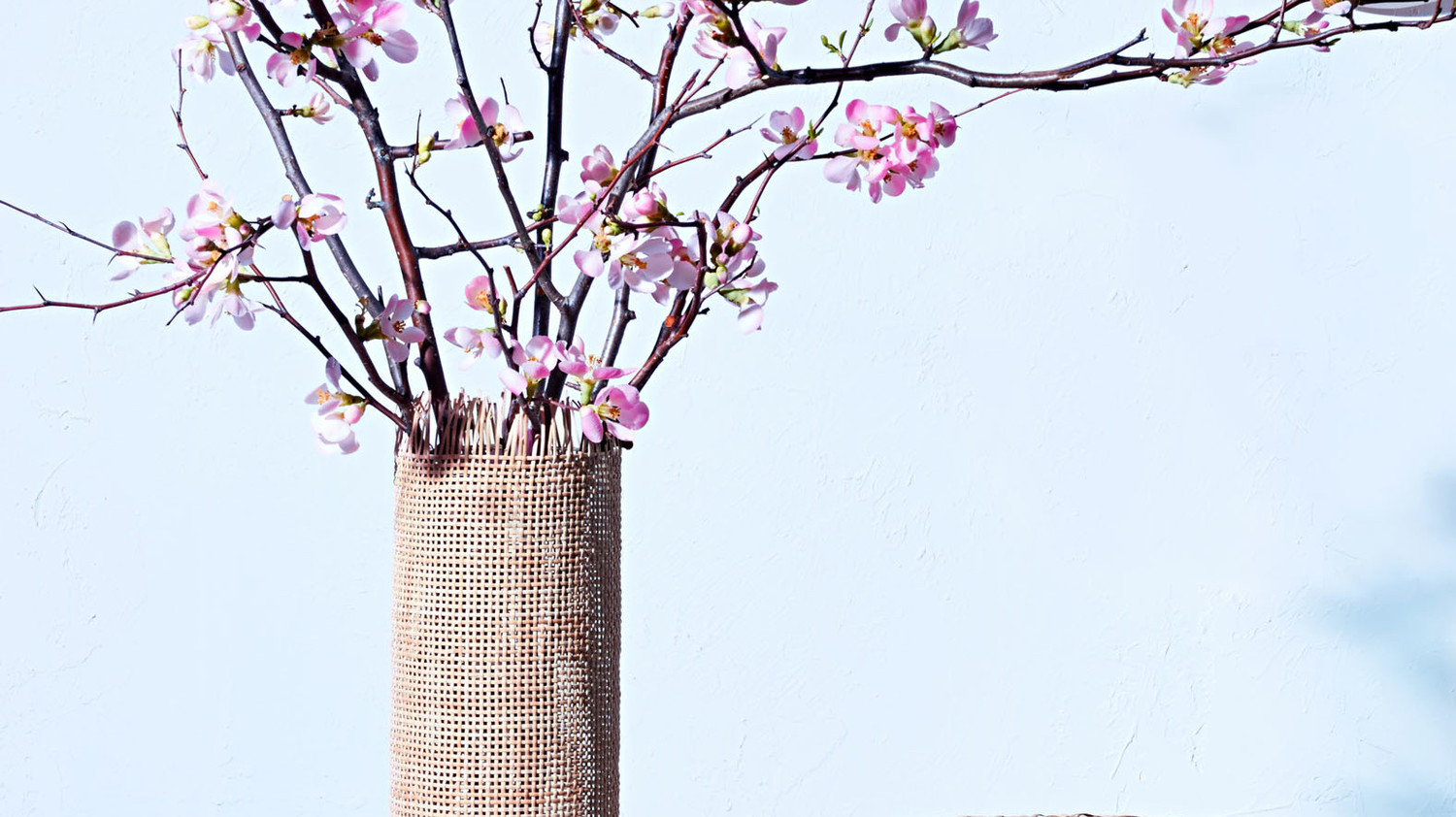 Shop Deals For Fruithurst Paisley Vase Astoria Grand