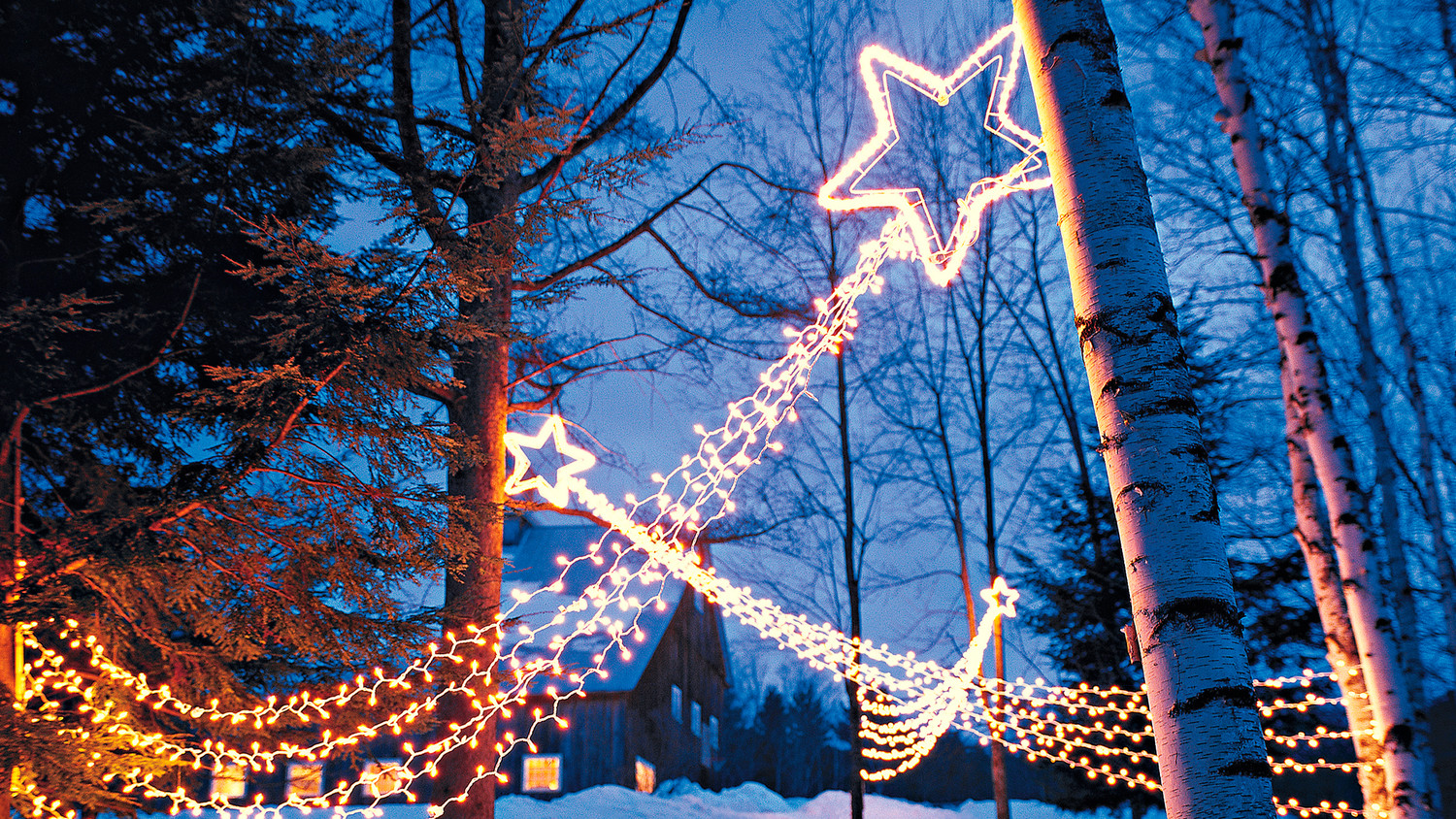 Shooting Star Outdoor Lights  Martha Stewart