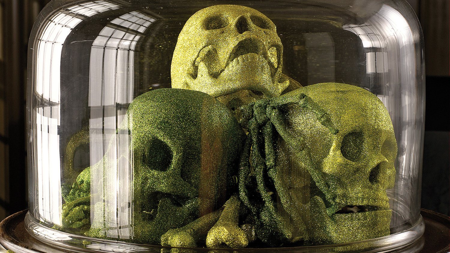 halloween skeleton and skull decorations martha stewart