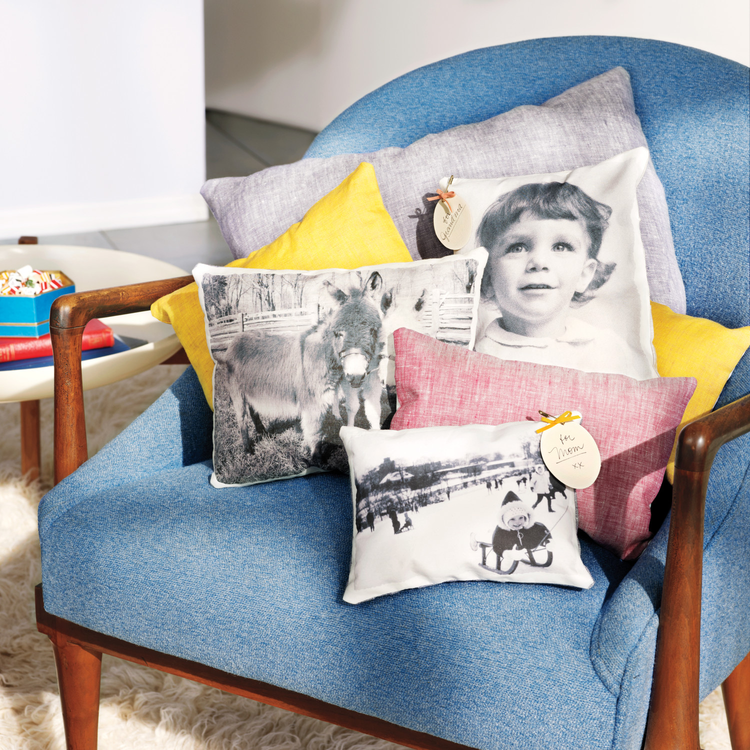 Photo Throw Pillow Martha Stewart