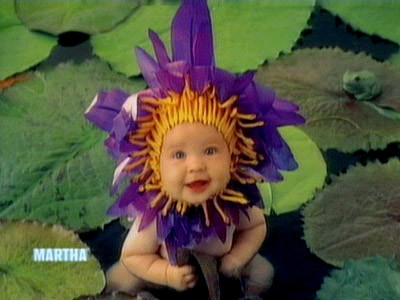 video anne geddes photographs martha stewart valentines tea party