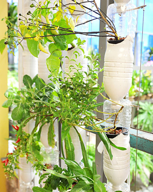 Grow It Yourself Hydroponic Gardening In Your Home Martha Stewart Grow It Yourself Hydroponic Gardening In Your Home