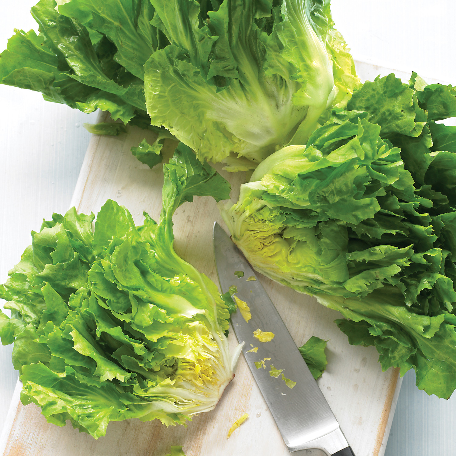 Escarole Recipes | Martha Stewart