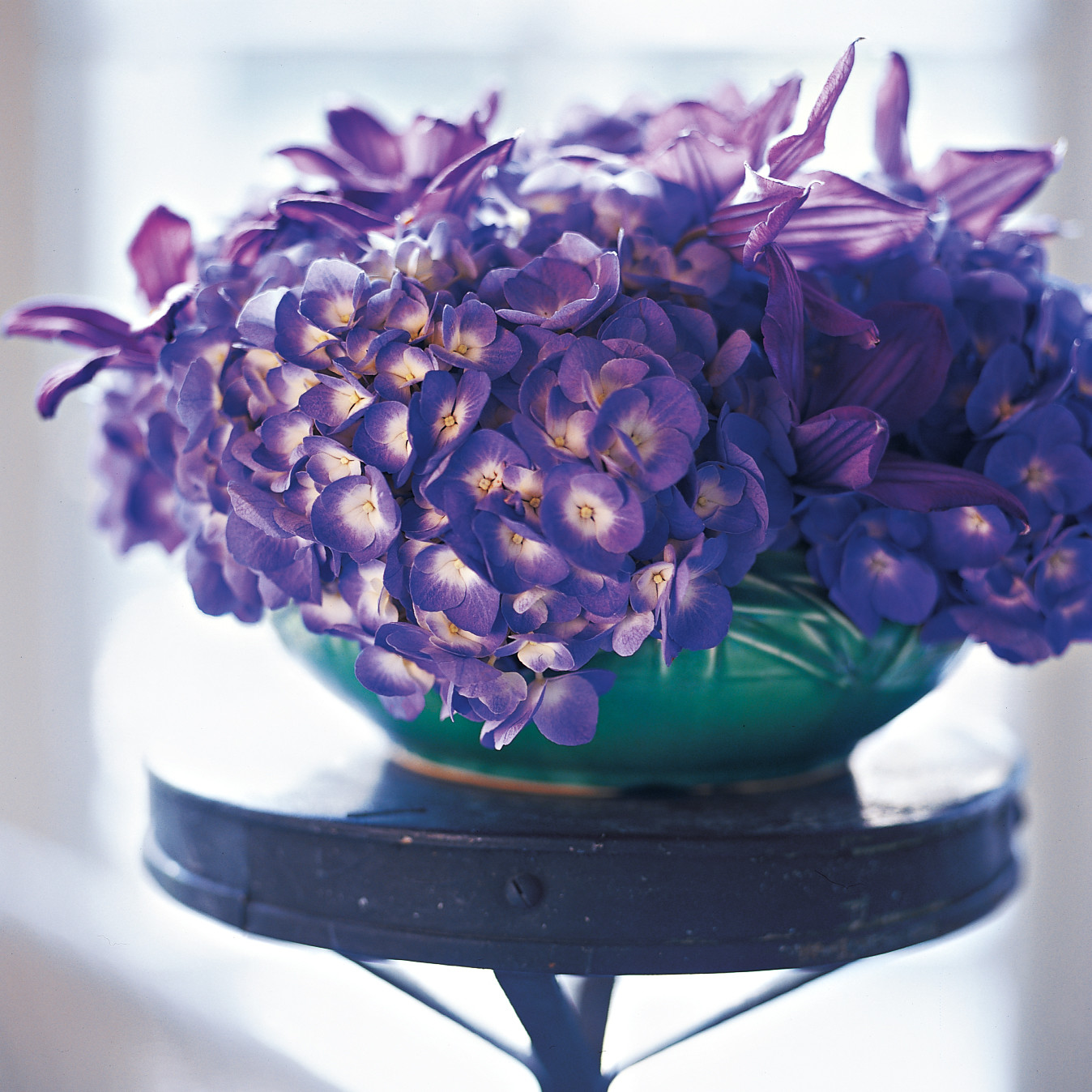 Hydrangea Arrangements Martha Stewart