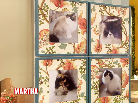 Vivid Martha Stewart Picture Frames Capture Nature Vivid Martha Stewart Picture Frames Capture Nature