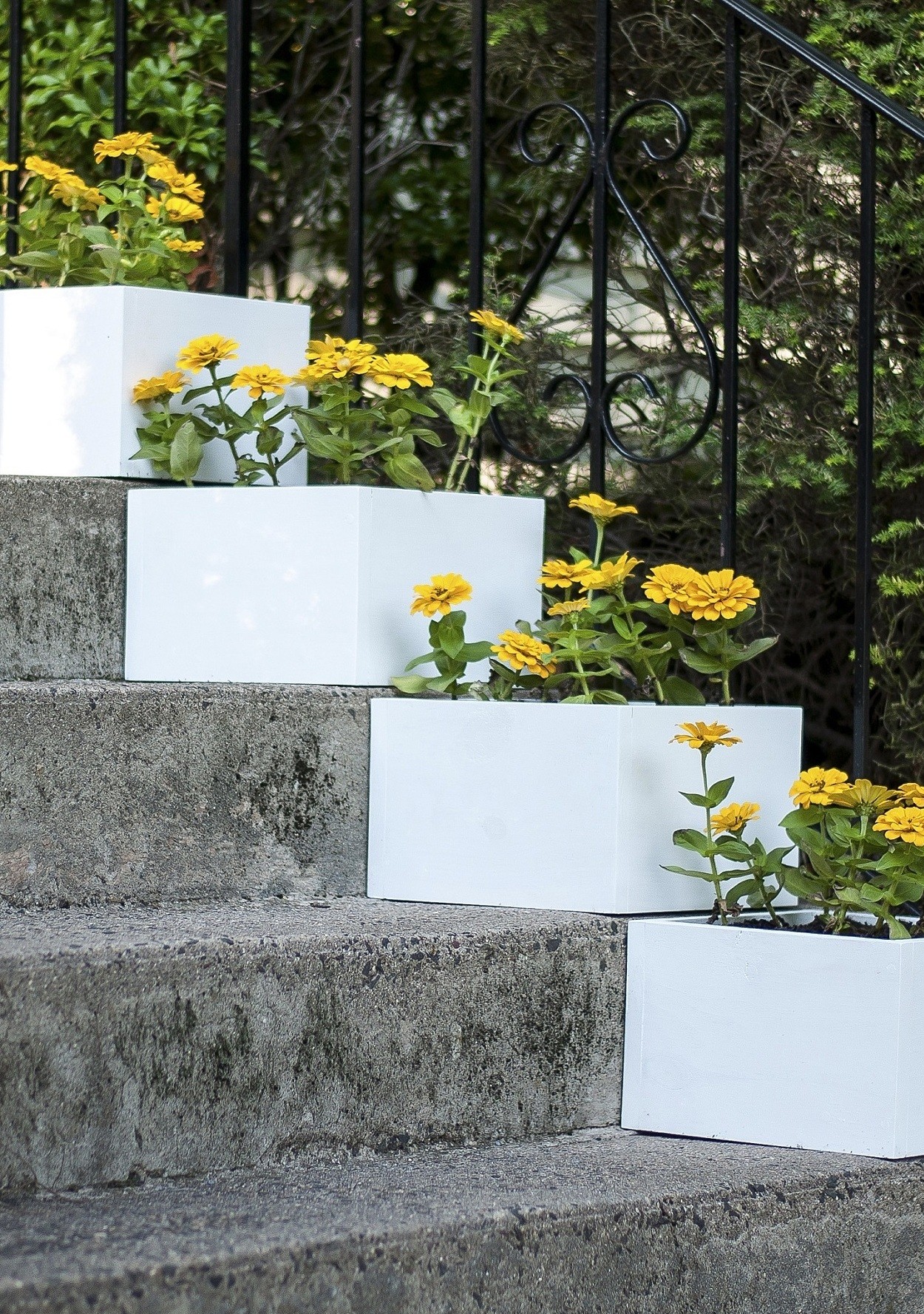 A Simple Vertical Garden: How to DIY Stair Step Planters 