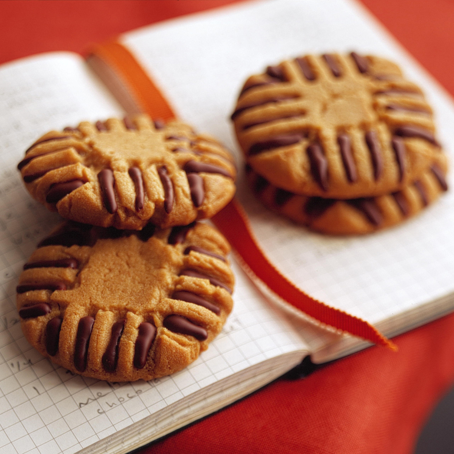 Chocolate-Piped Peanut Butter Cookies