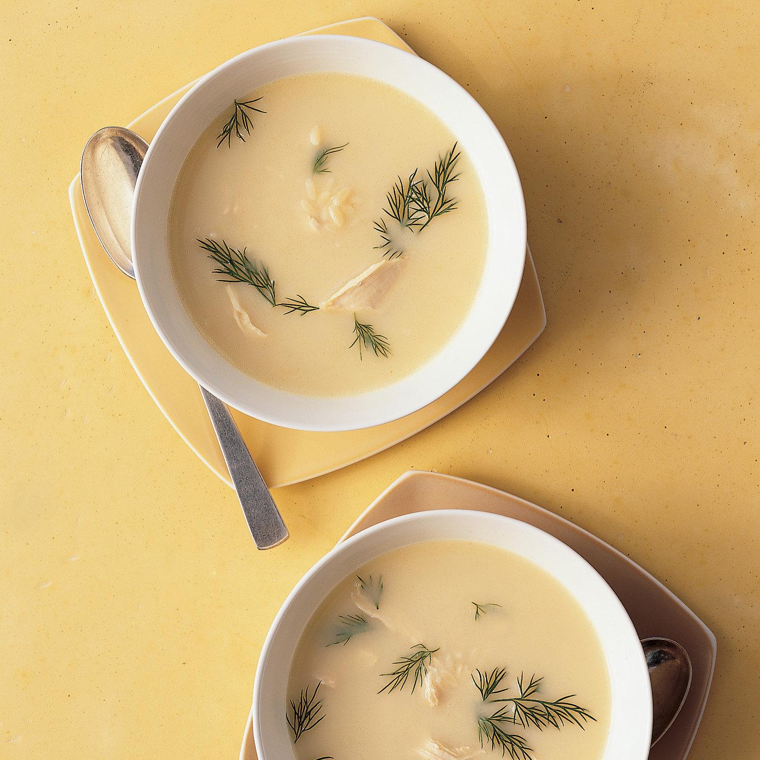 Broth Basics | Martha Stewart