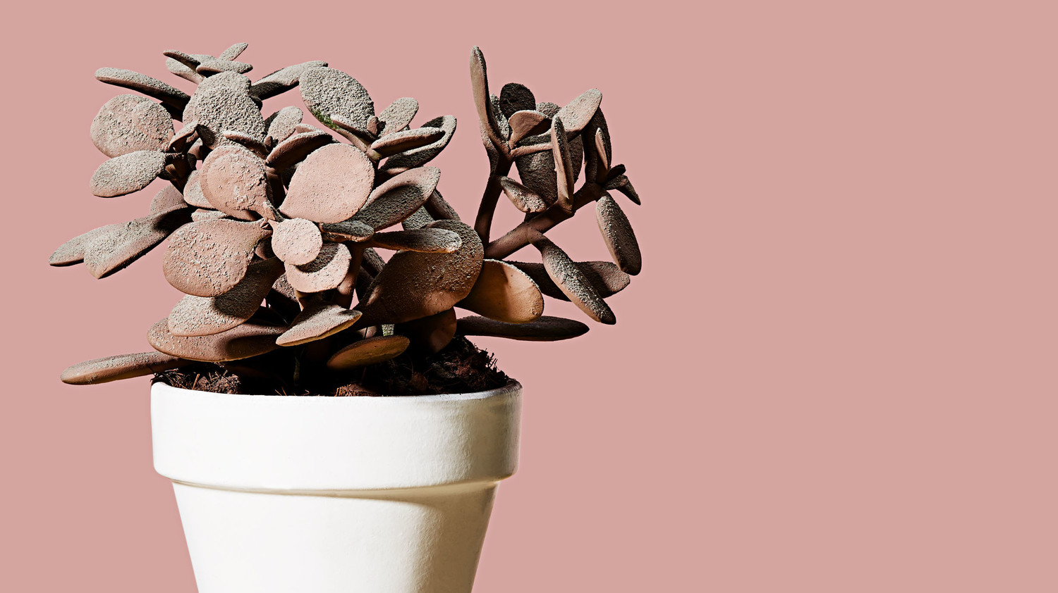 How to Clean Dust Properly (Yes, There's a Right Way!) Martha Stewart