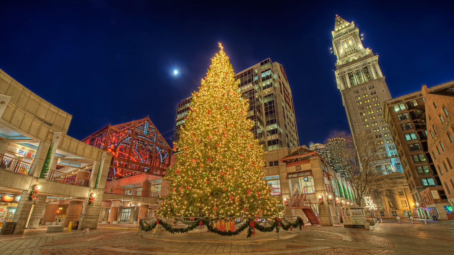 Boston's Christmas Tree Has Been Chosen For 2018 | Martha Stewart