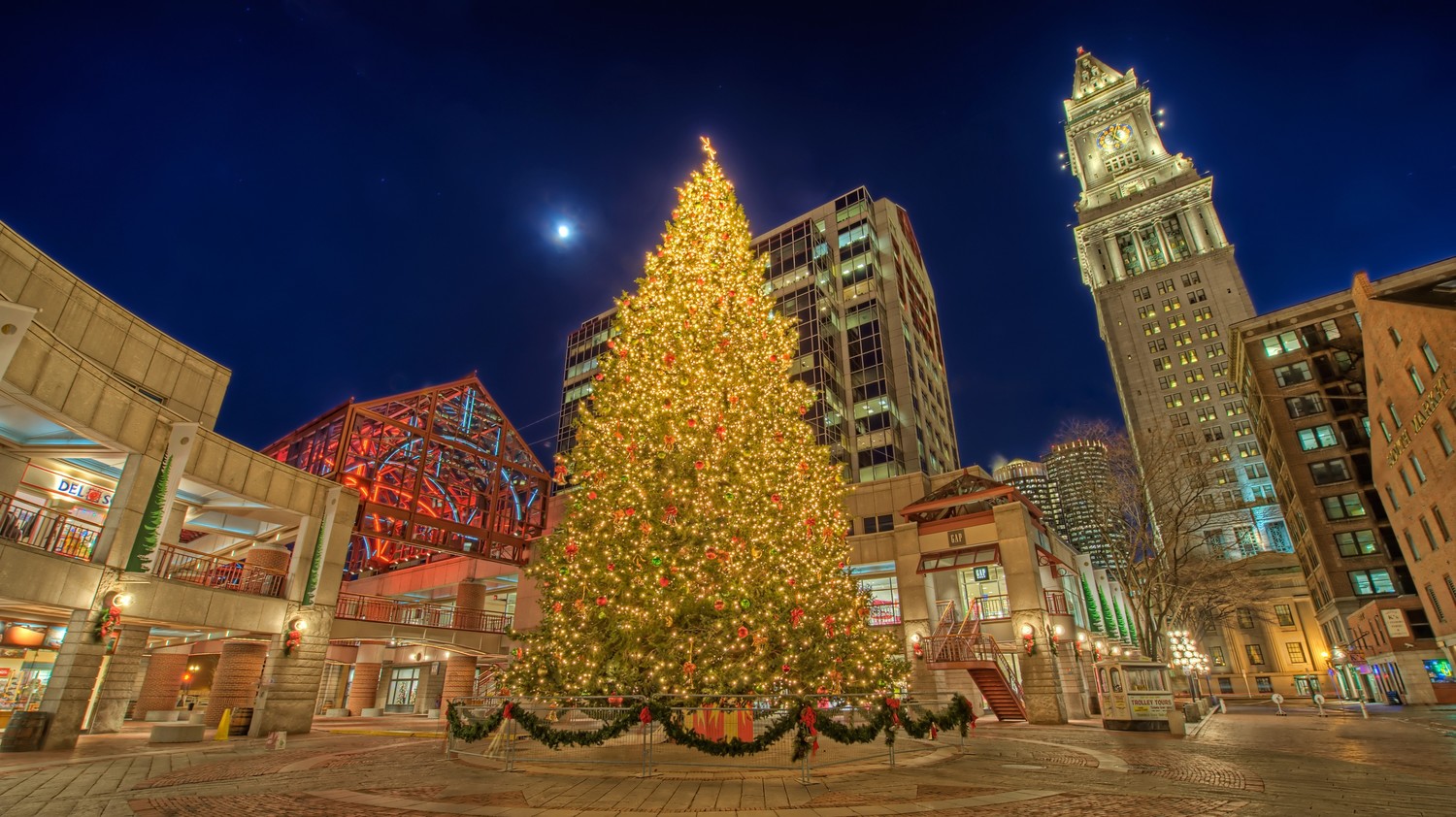 Boston's Christmas Tree Has Been Chosen for 2018 Martha Stewart