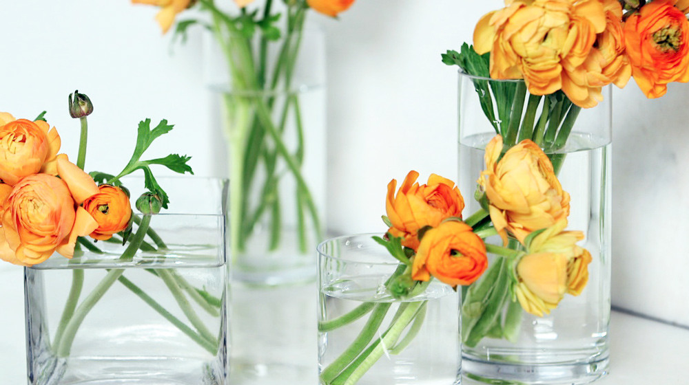 Video HowTo Clean a Flower Vase Martha Stewart