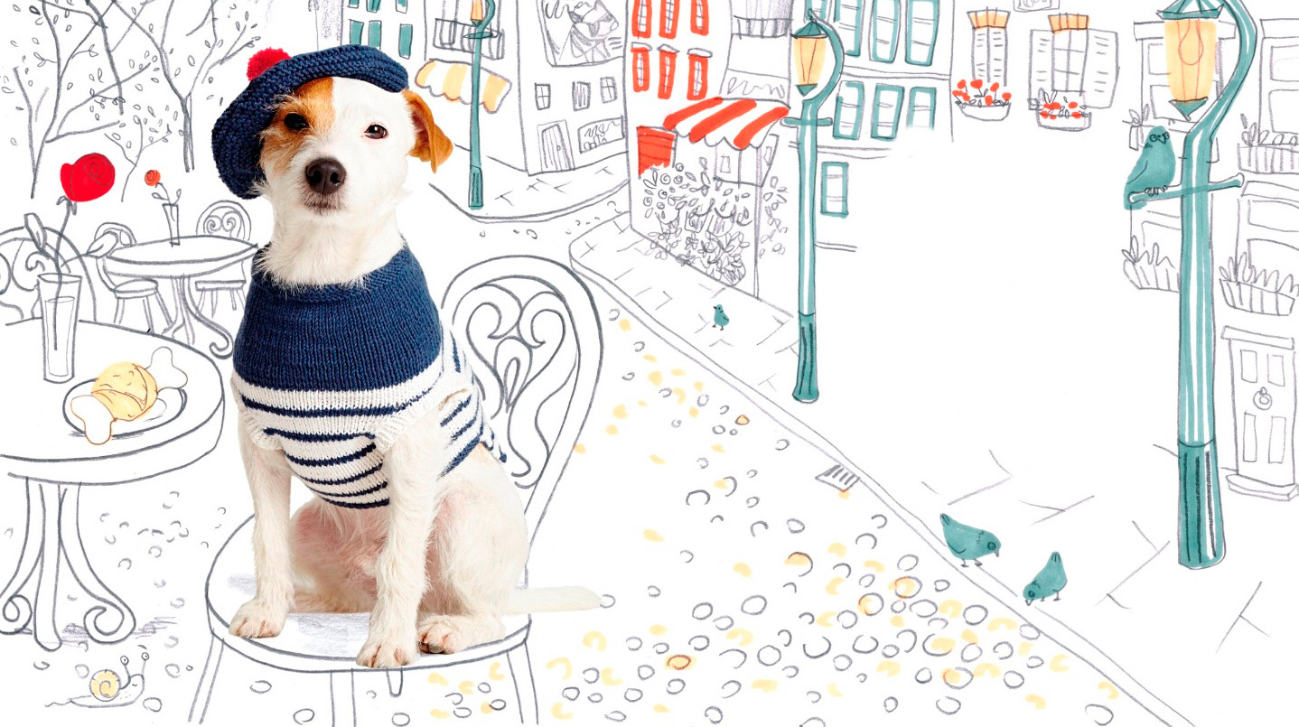 Dapper Dogs 5 Questions for Pet Knitwear Designer Debbie Bliss