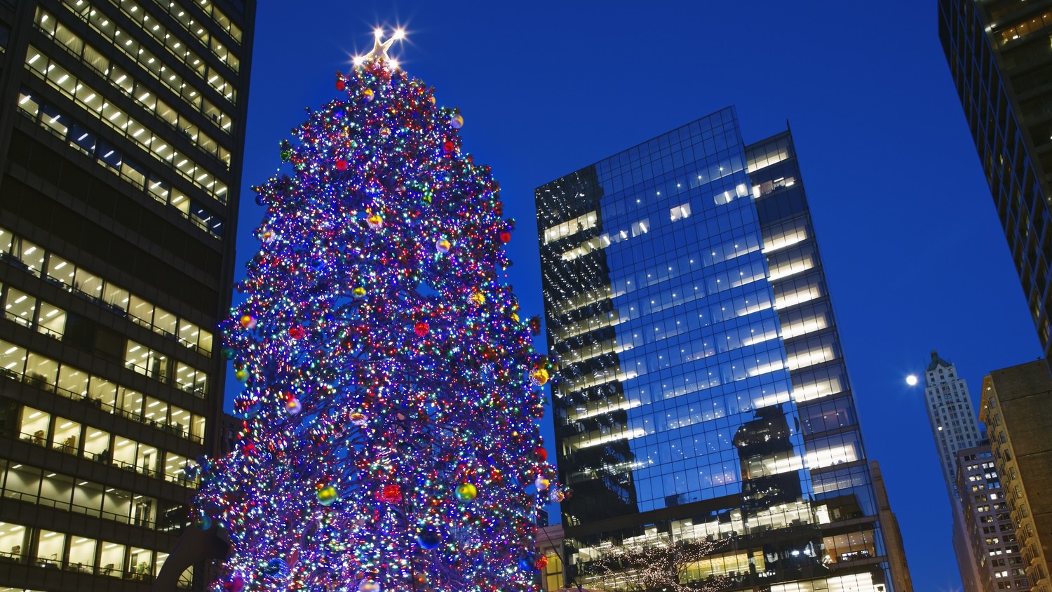 the story behind chicagos christmas tree will warm your heart martha stewart - Chicago Christmas Tree the story behind chicagos christmas tree will warm your heart martha stewart - Chicago Christmas Tree