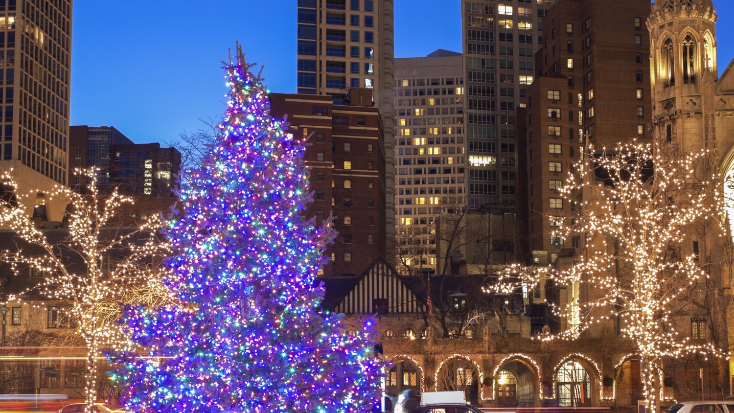 Chicago Has Chosen Their New Christmas Tree for 2018 Martha Stewart