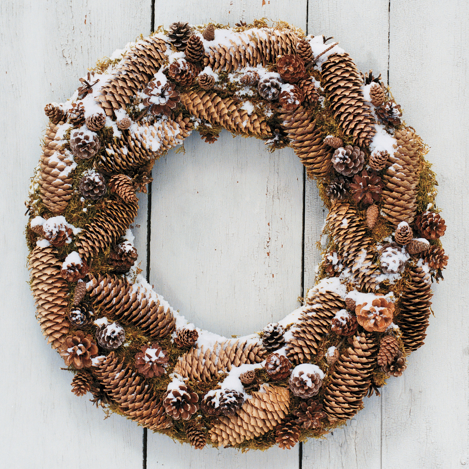 Frosted Pinecone Wreath | Martha Stewart