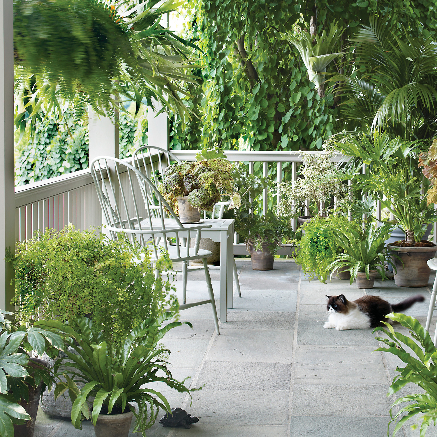 Outdoor Living Martha Stewart