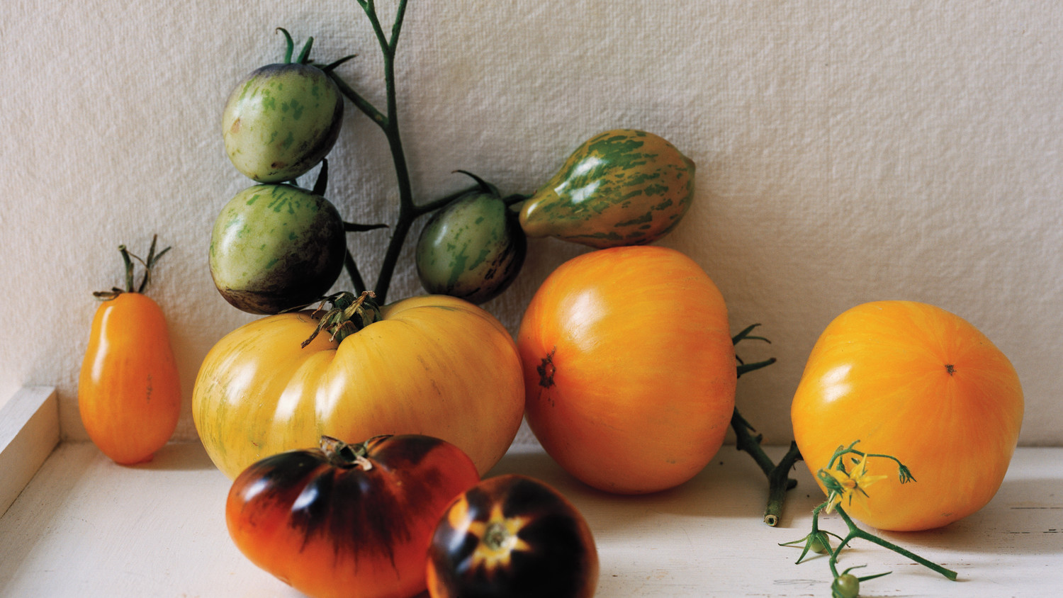 tomato-glossary-47-md109341.jpg