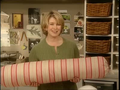Video Feather Bolster Pillow Cover Martha Stewart