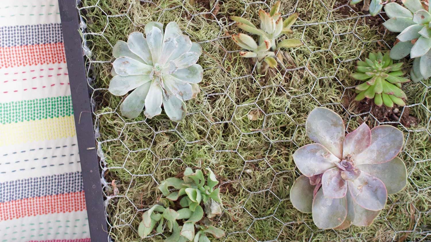 How To Build A Succulent Wall Planter Martha Stewart