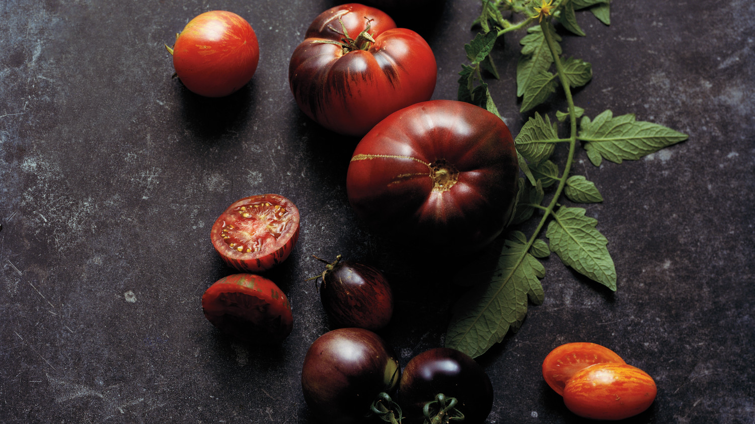 tomato-glossary-23-r-md109341.jpg