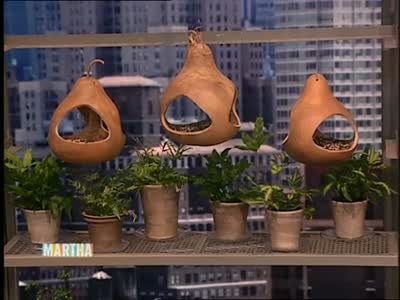 Video How To Make Gourd Bird Feeders Martha Stewart
