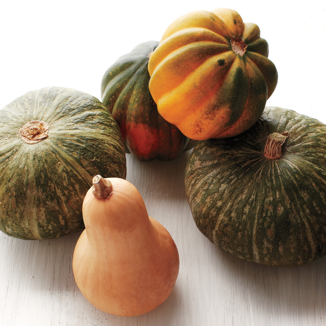 Detailed Martha Stewart Squash Picture Concept Detailed Martha Stewart Squash Picture Concept