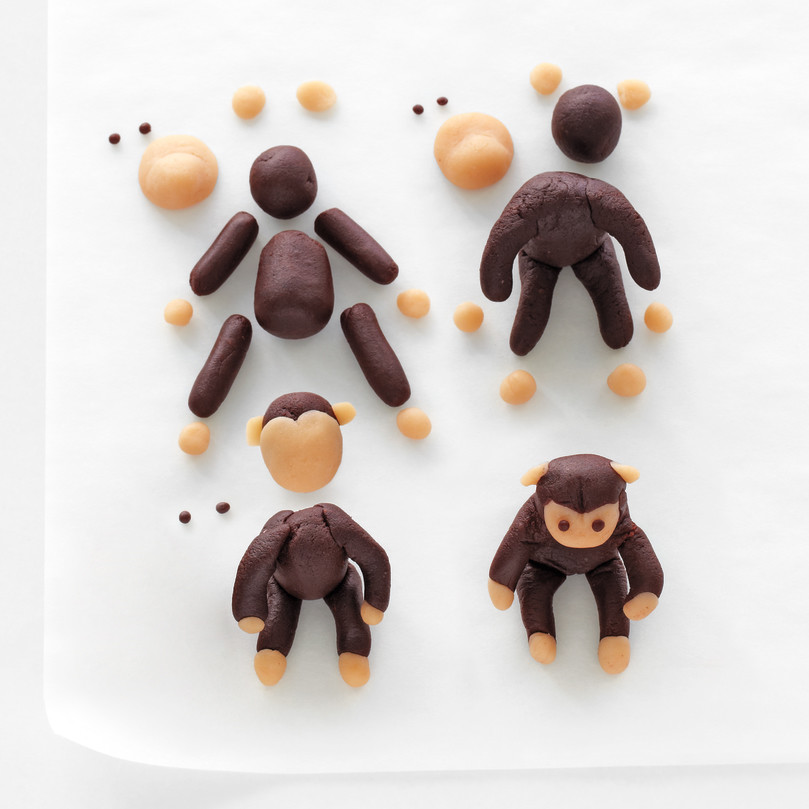 Marzipan Menagerie Cake Toppers HowTo Martha Stewart