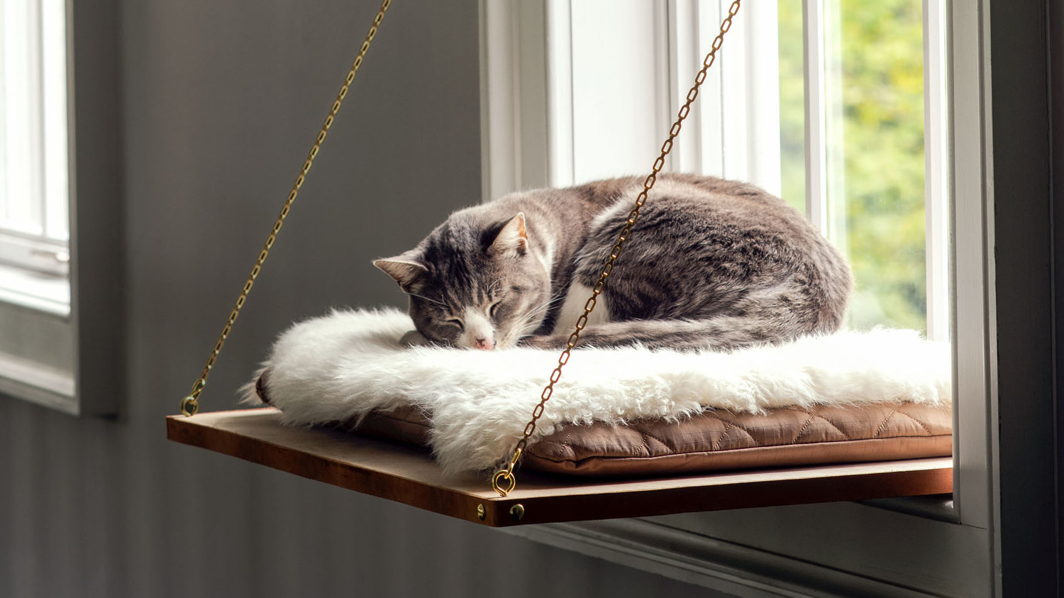 Cat Window Perch | Martha Stewart