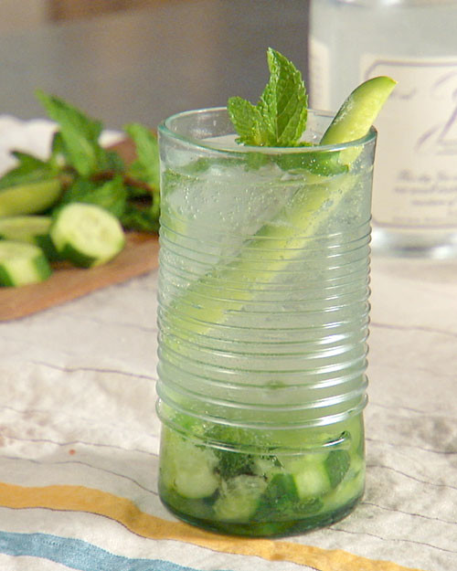 Cucumber Mint Gin And Tonic Recipe Amp Video Martha Stewart